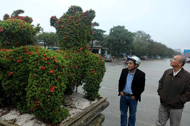 Chiêm ngưỡng 2 cặp kiểng khủng hình linh vật vừa về đến Hà Nội
